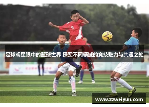 足球明星眼中的篮球世界 探索不同领域的竞技魅力与共通之处
