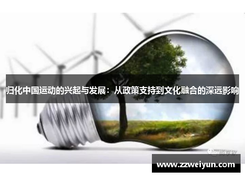 归化中国运动的兴起与发展：从政策支持到文化融合的深远影响