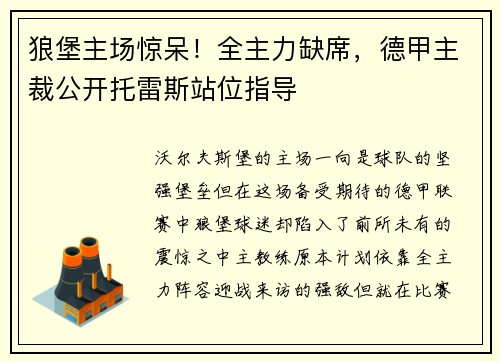 狼堡主场惊呆！全主力缺席，德甲主裁公开托雷斯站位指导